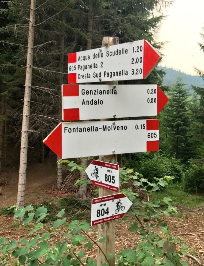 Apartament Genzianella Molveno-Andalo Zewnętrze zdjęcie