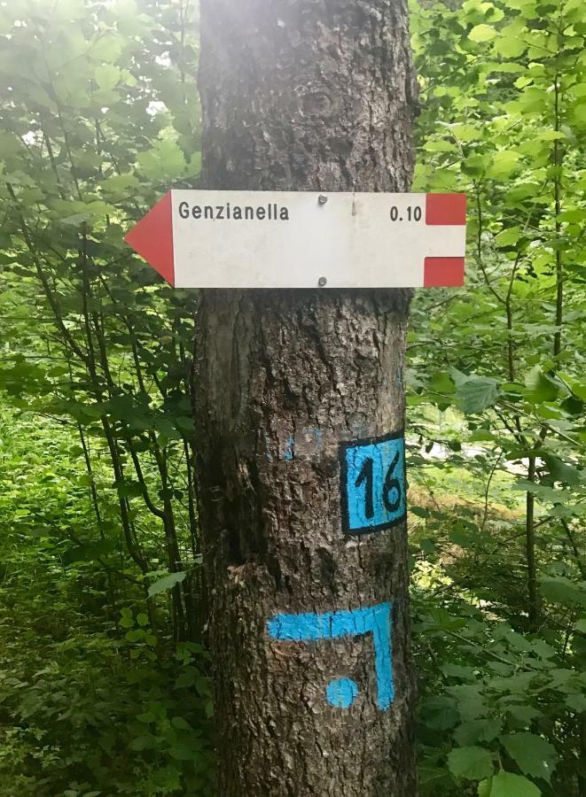 Apartament Genzianella Molveno-Andalo Zewnętrze zdjęcie