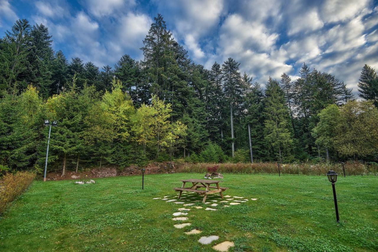 Apartament Genzianella Molveno-Andalo Zewnętrze zdjęcie